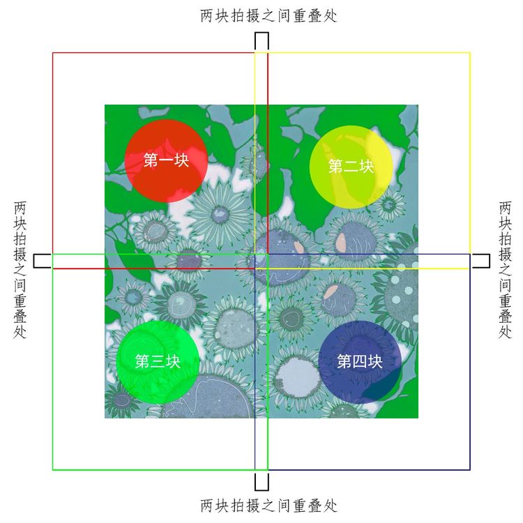如何用單反相機拍攝高清書畫作品